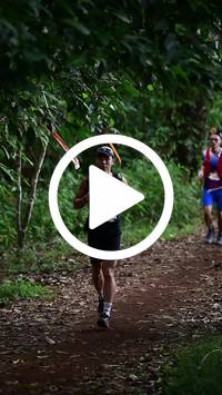 BIB:  <button type="button" onclick="openModal(27288073)" class="btn btn-primary btn-sm float-right" data-toggle="modal" data-target=".modal-high-quality">
                <i class="fa fa-download"></i> Download
                </button>